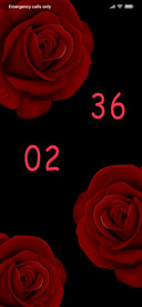 Rosy_DWM20