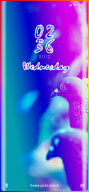Wildlife_ Pigeon