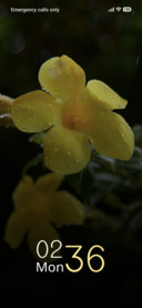 Golden Shower