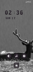Deer Monochrome