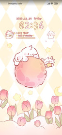 Sleeping Tulip