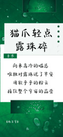 猫爪轻点露珠碎