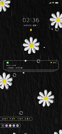 多彩 油画小雏菊