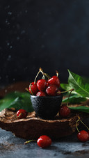 delicious food-03