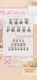 高端极简护眼拼音体
