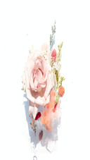 A sea of flowers