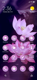 Nature Lotus