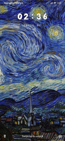 Van Gogh_3MDS