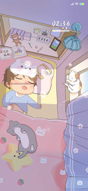 阳光和猫