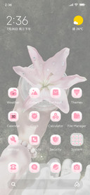 Flower and Girl