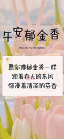 午安郁金香