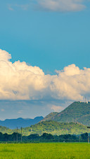 White clouds rolled over the green fields