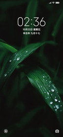 极简绿色