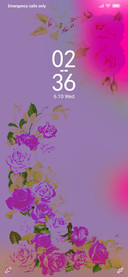 Roses_DWM2