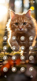 Pet
