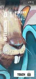 Rabbit Teeth