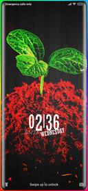 Plant Grow