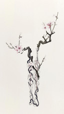 康春慧 执花寄月