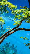 Heavenly jade pool