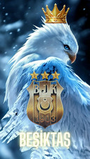 BJK-10