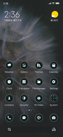 Dandelion