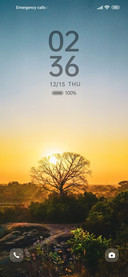 Twilight tree