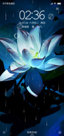 蓝莲花