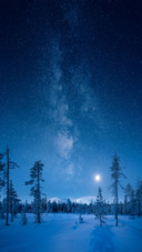 Aurora (4)
