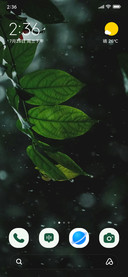 Leaf Blur