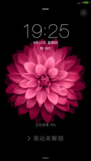 美花）3D动态+多壁纸