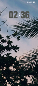 Soft Tones
