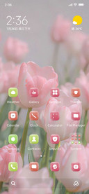 Pink