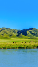 Horses and Natural Scenery on Bayinbuluke Grassland