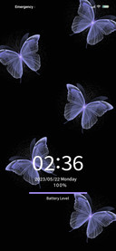 Night butterfly