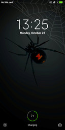 Black Widow 