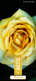 Petaled Flower