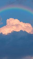 Rainbow flying bird sky