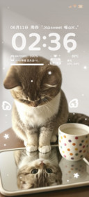 ins韩系氛围感小猫