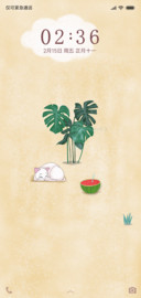 夏天的海滩
