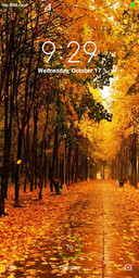 autumn