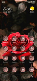 Red Rose