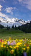 Summer on the aerial grassland