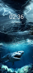 Deep sea shark