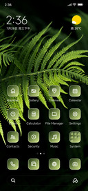 Fern