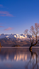 Why did wanaka outshine queenstown
