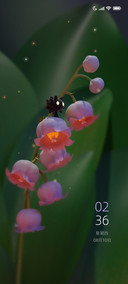 风铃花怪