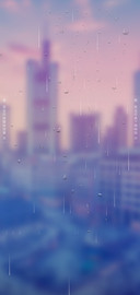 挚梦