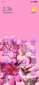 Pink Glass V