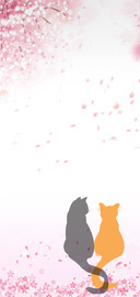 猫咪的小幸福