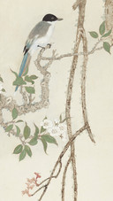 墨画梨花